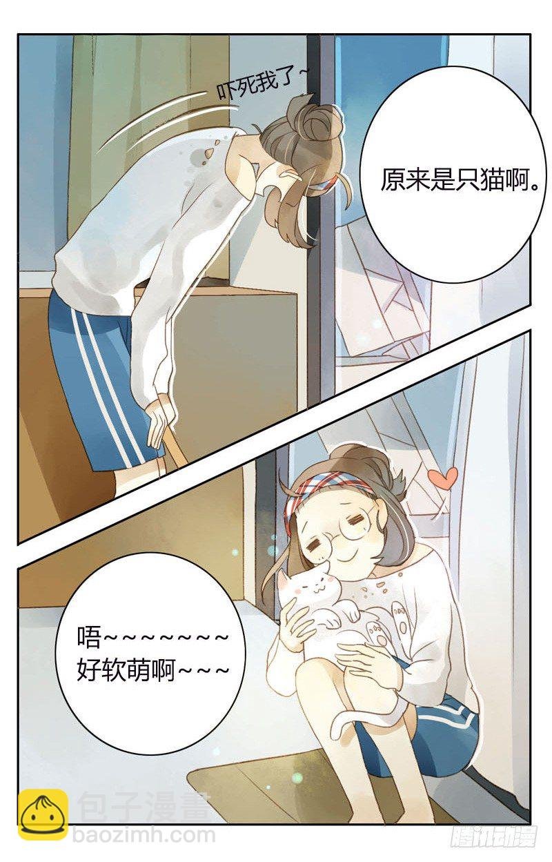 哪里来的猫（上）