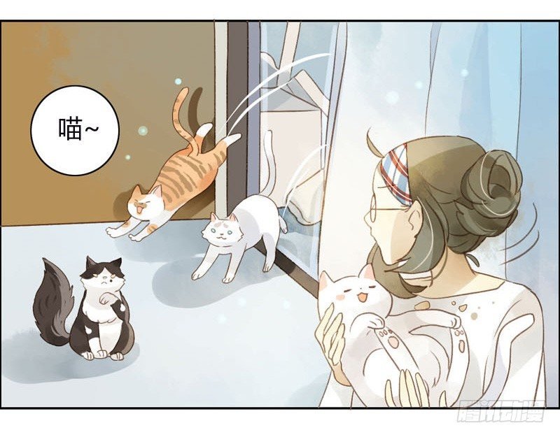 哪里来的猫（上）