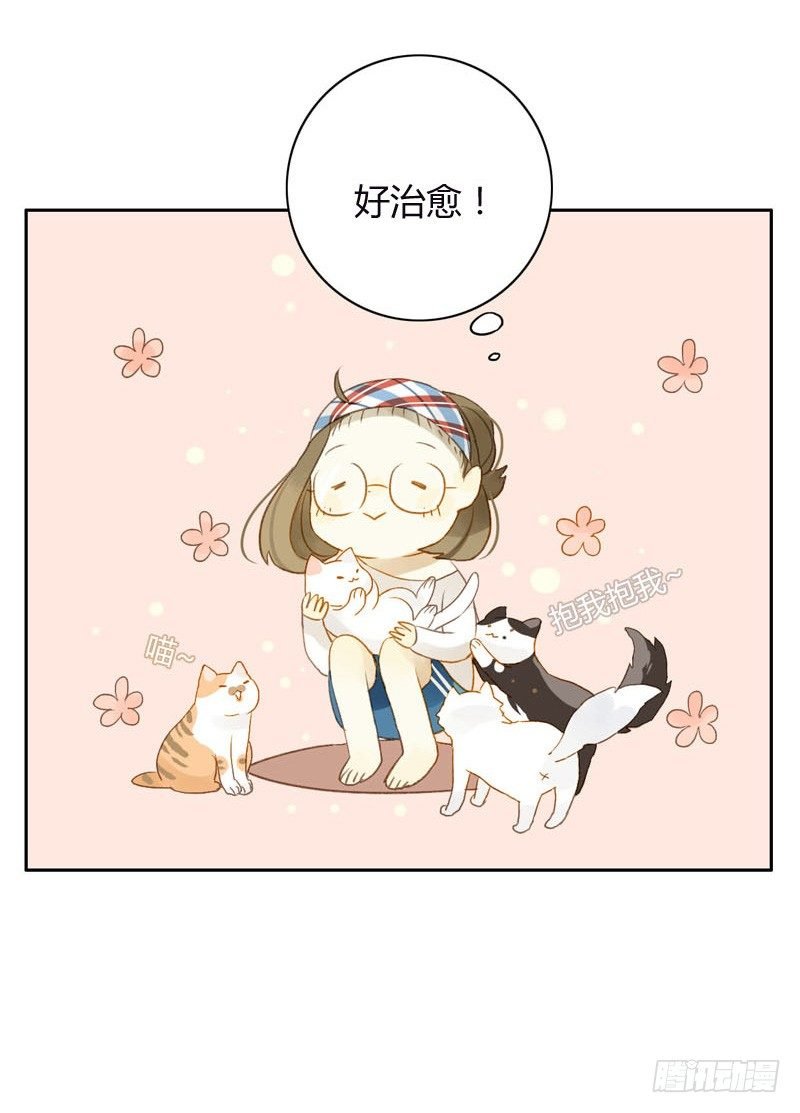 哪里来的猫（上）