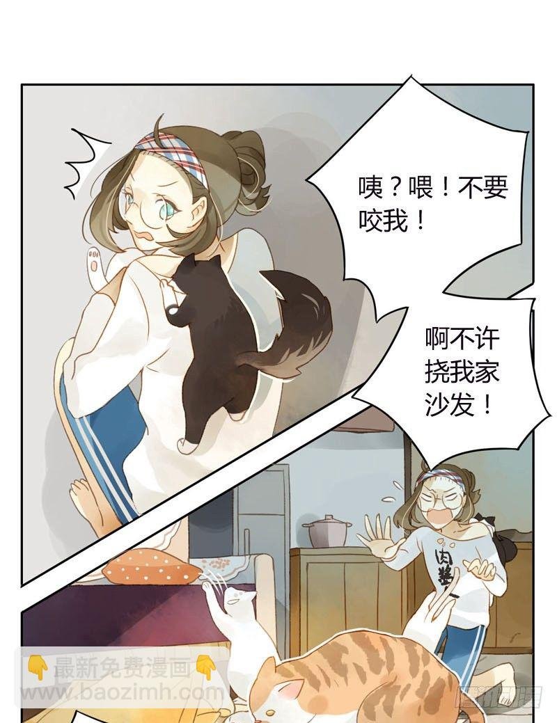 哪里来的猫（上）