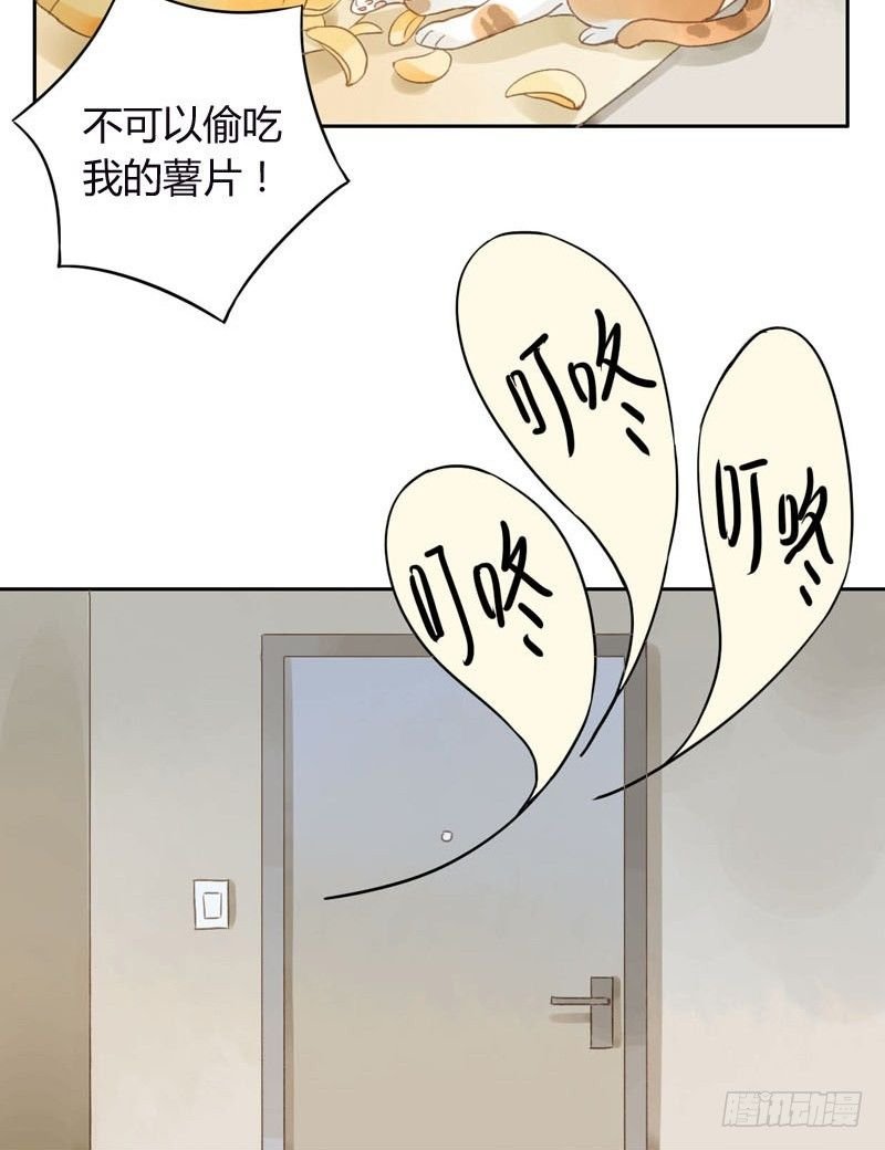 哪里来的猫（上）
