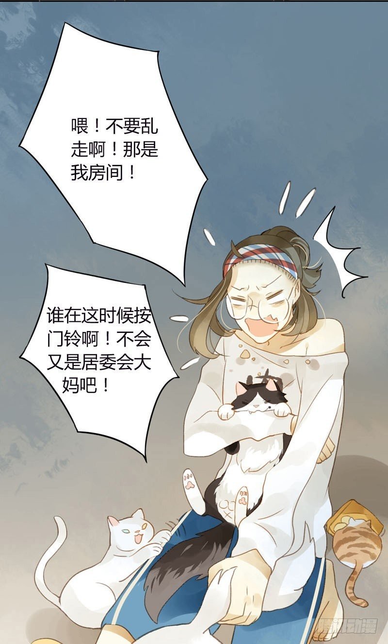 哪里来的猫（上）