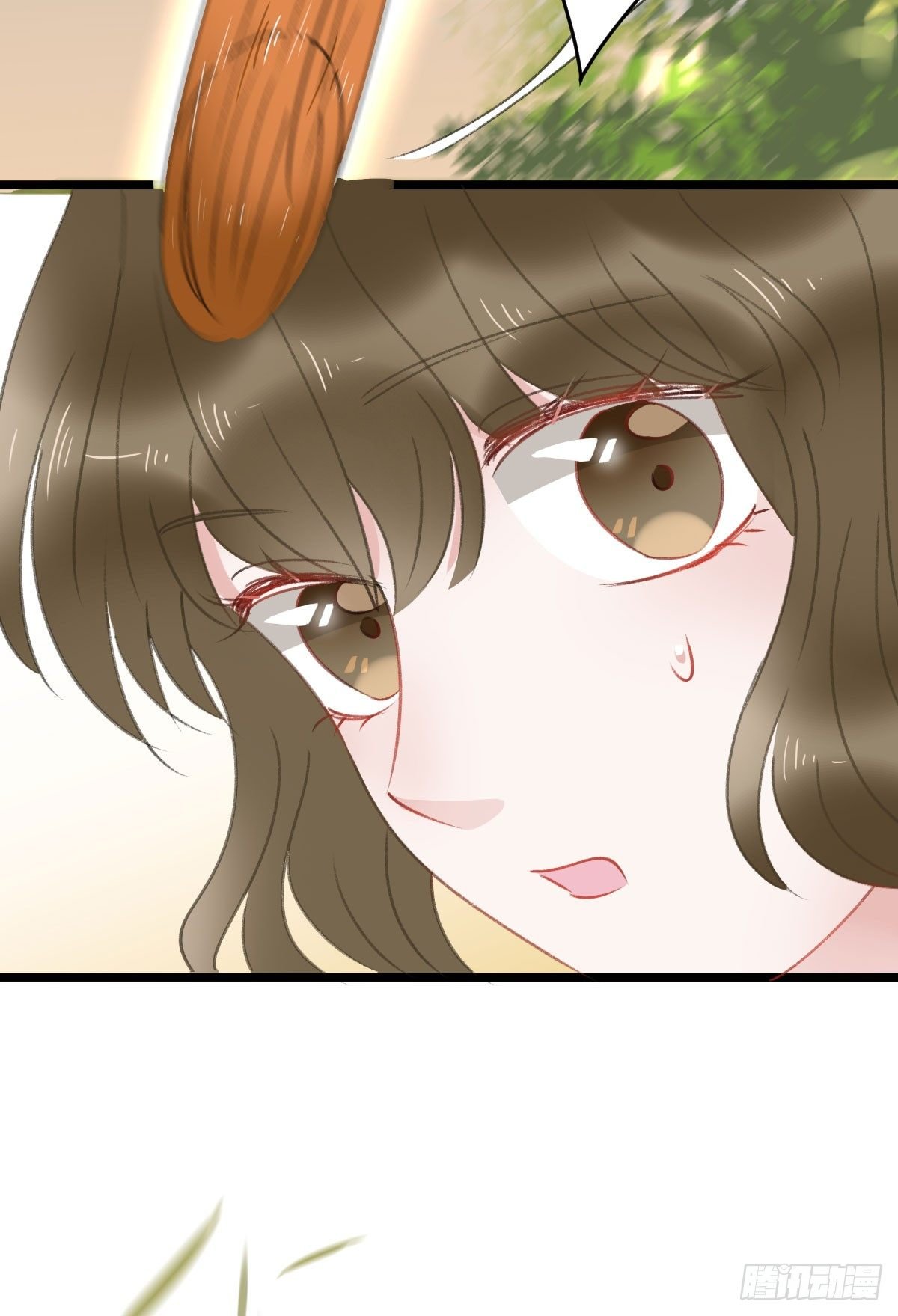 阴谋酝酿