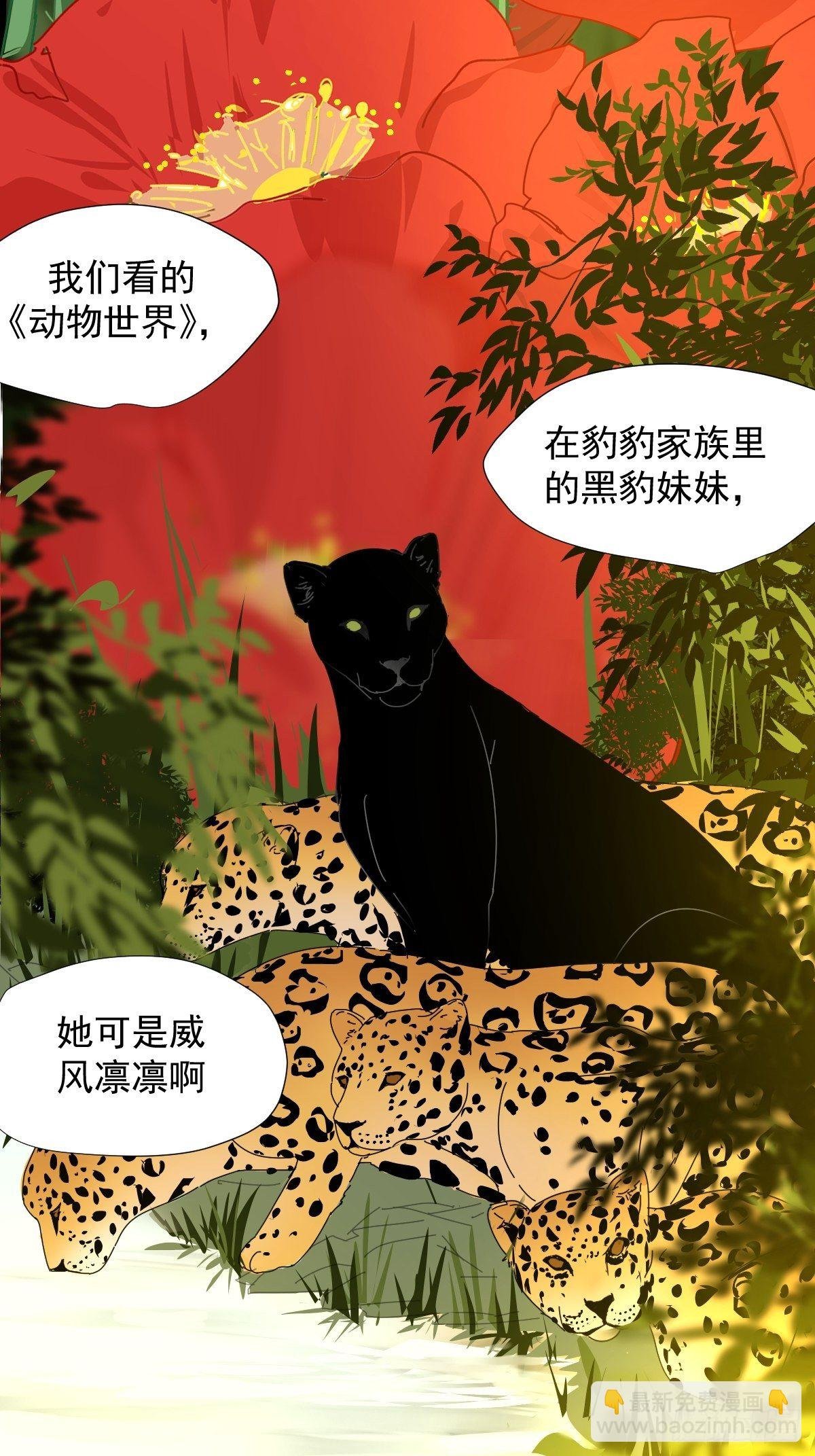 01大自然都接纳它们