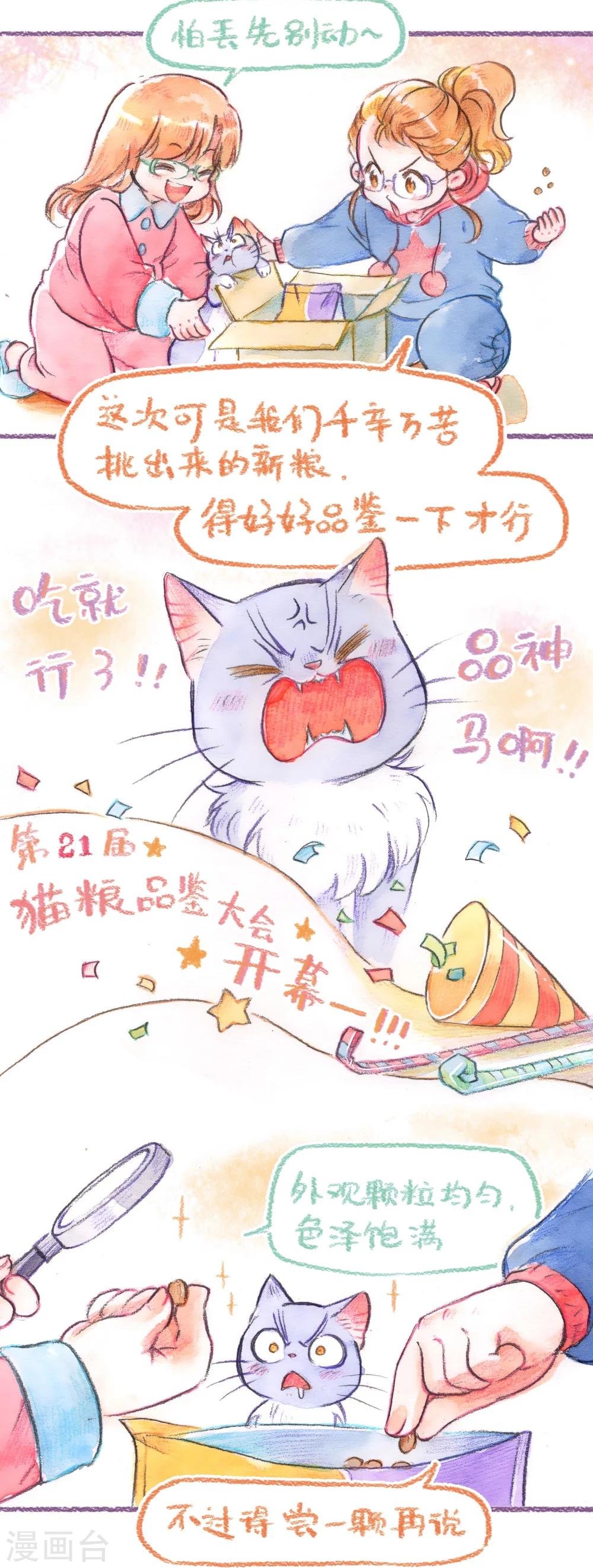 第54话 领养再战！！