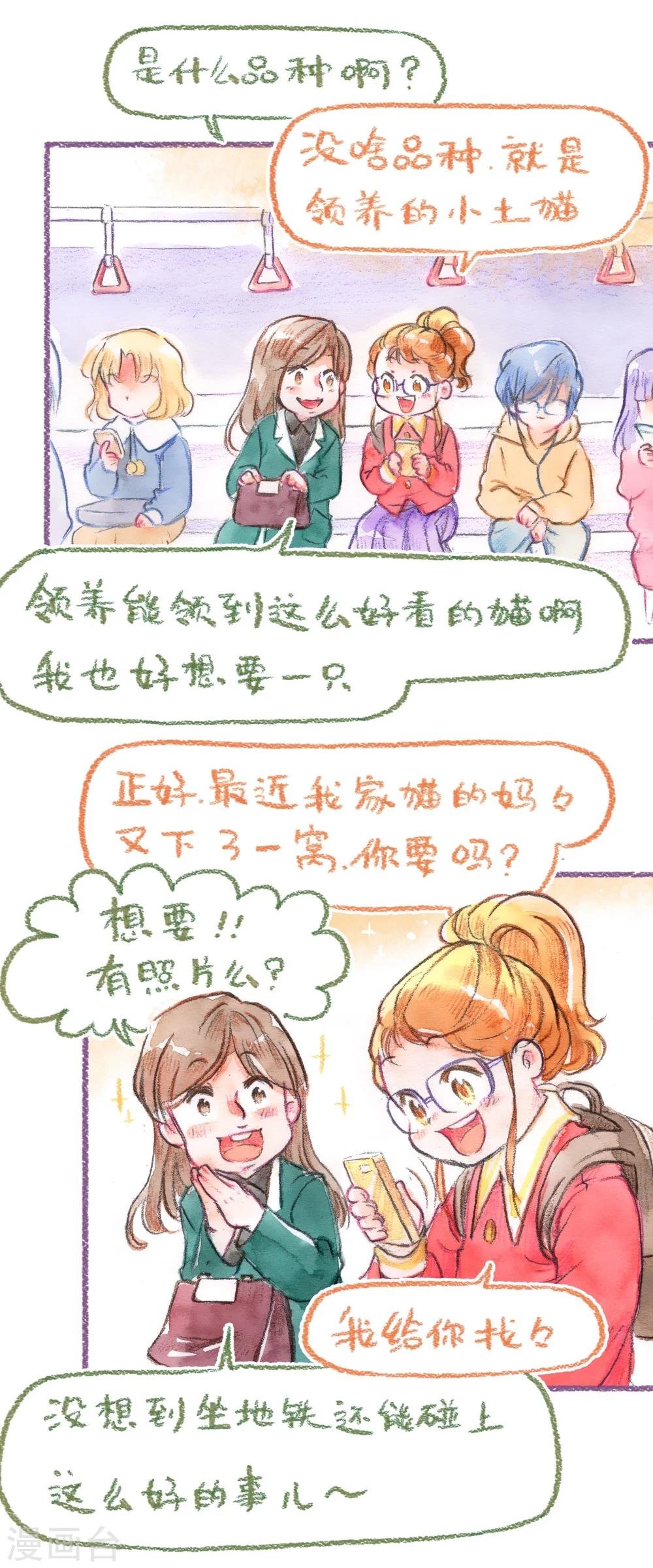 第54话 领养再战！！