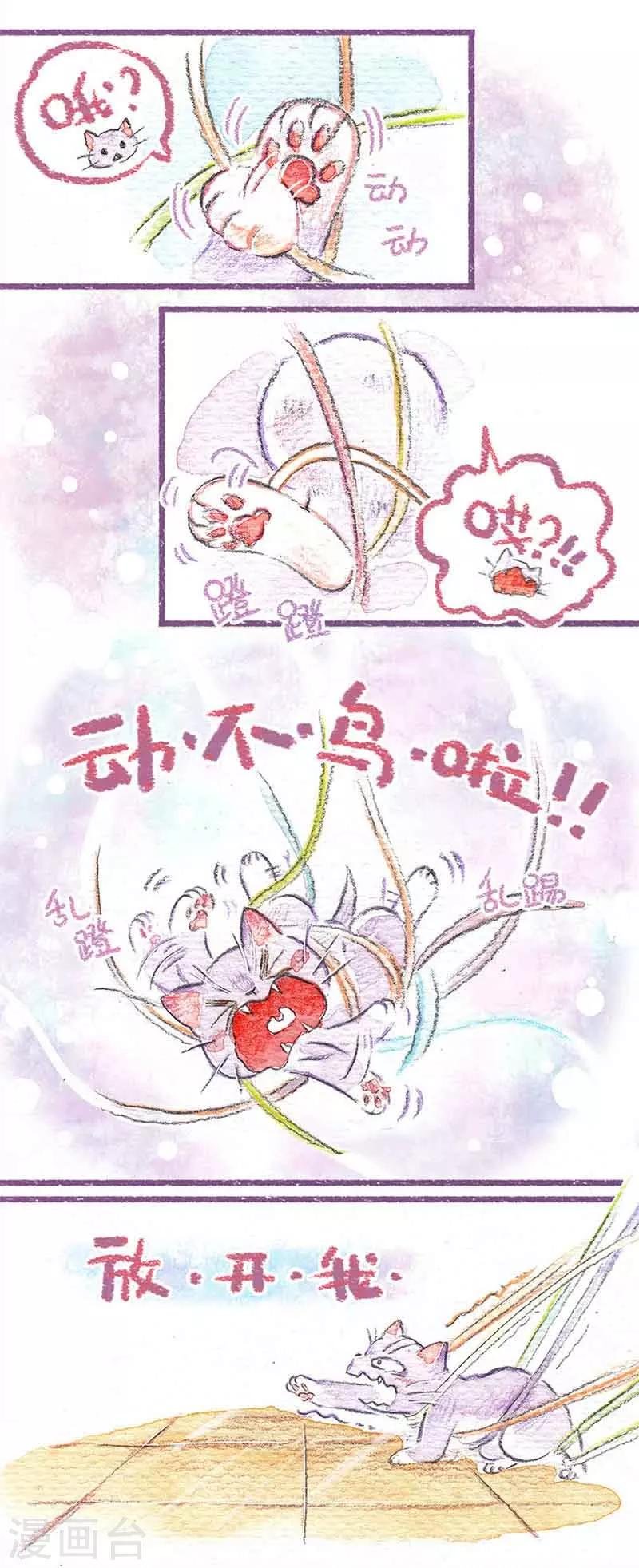 第6话 第一个夜晚