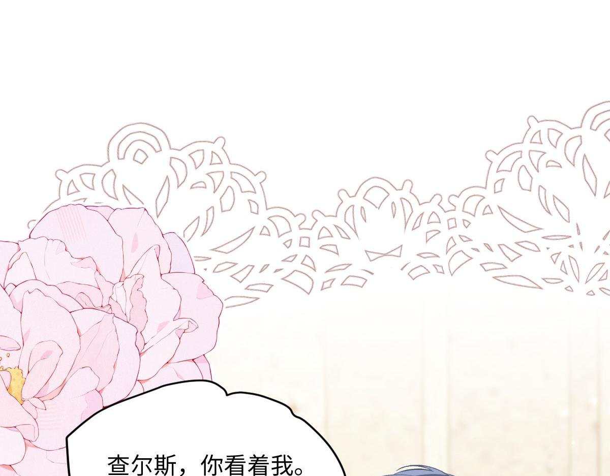 54 光明女神碎片