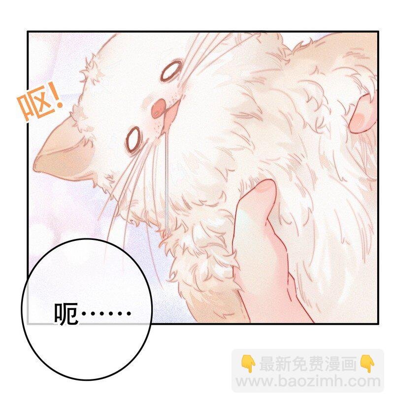 060 你喂吐我的猫了