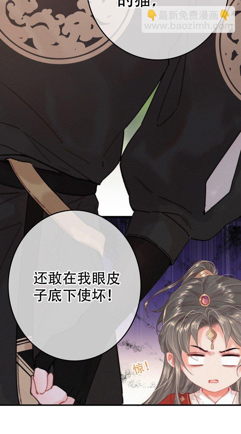 060 你喂吐我的猫了