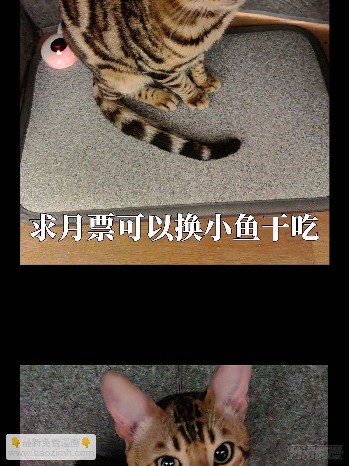 第一百一十八章\/灵域下