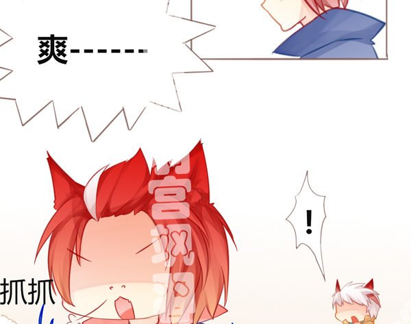 米啊 这是米啊！