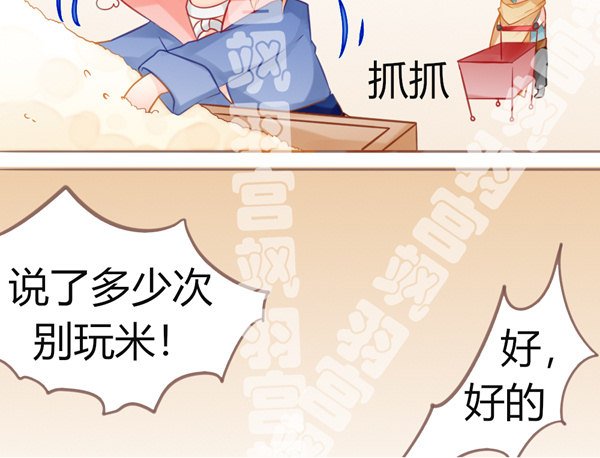 米啊 这是米啊！