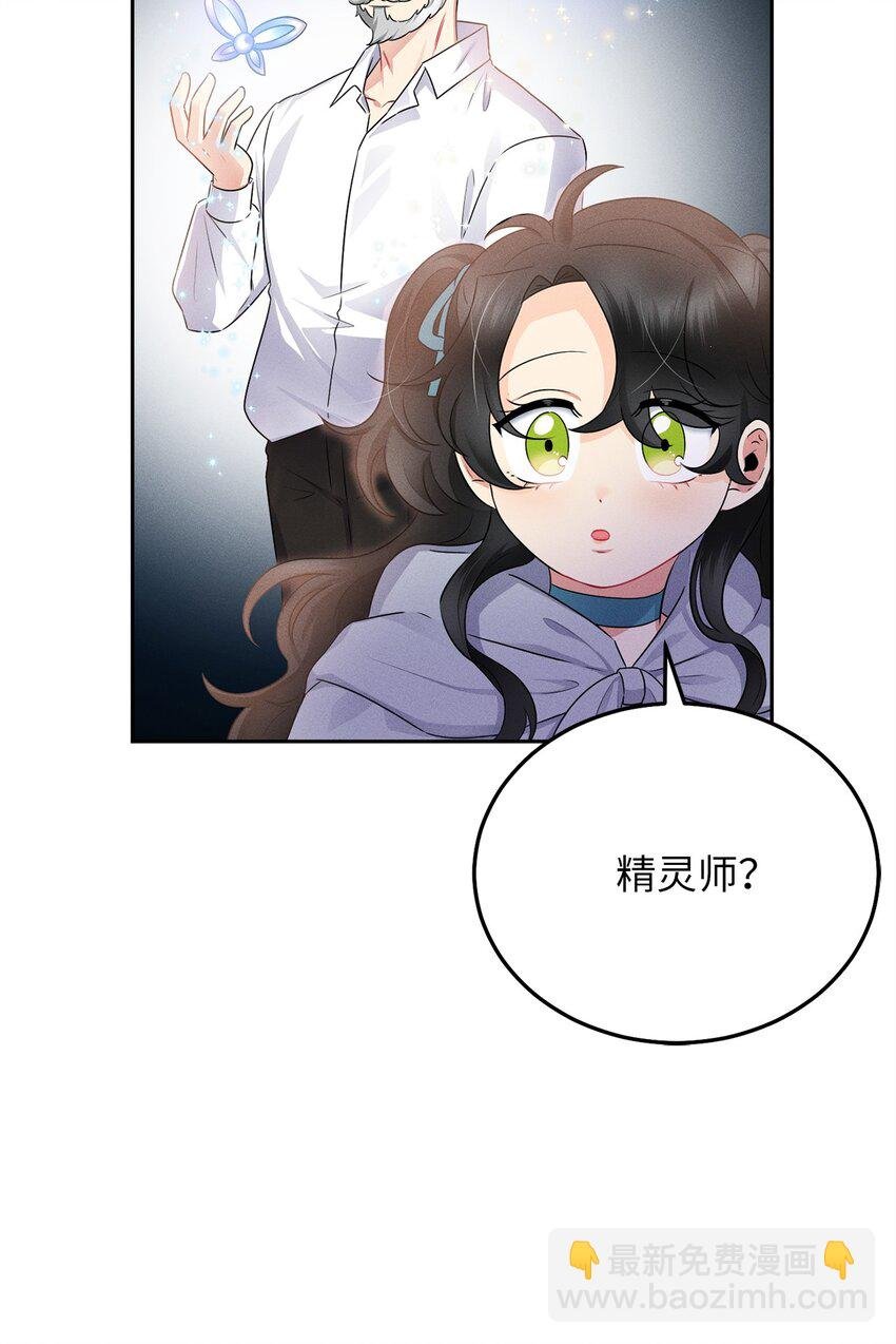5 伊格尼斯是精灵？