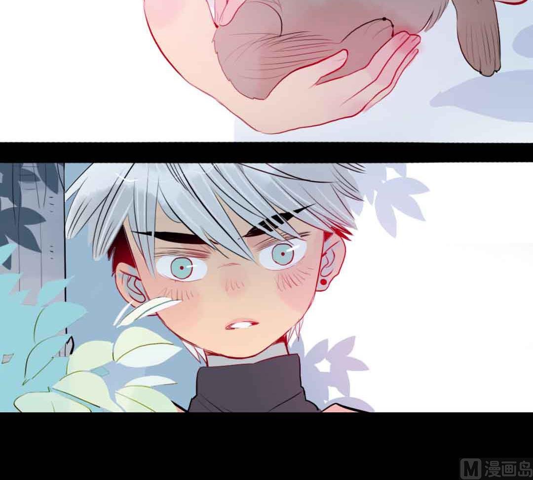 第3话 当年在村头撒野的小哥 下
