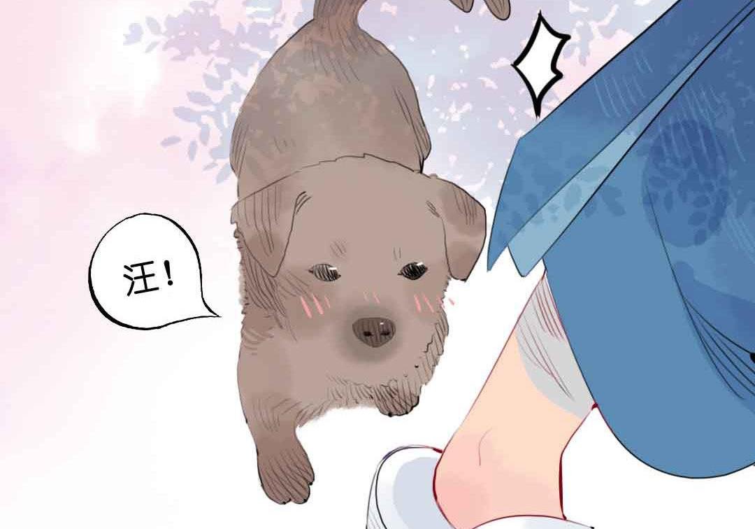 第3话 当年在村头撒野的小哥 下