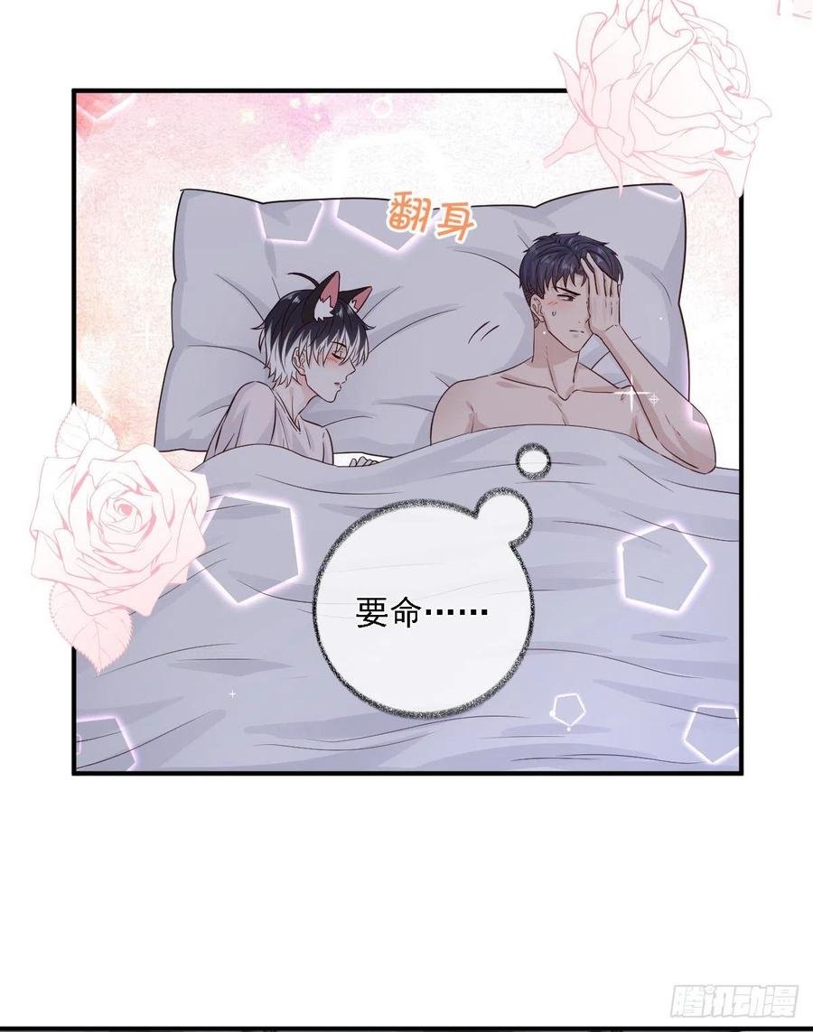 恋爱烦恼喵~