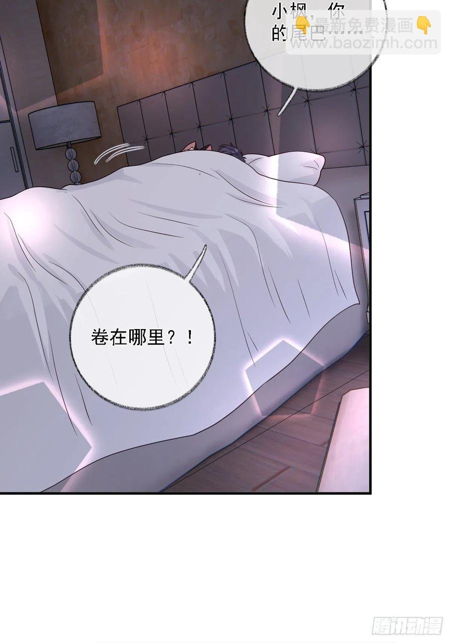 恋爱烦恼喵~