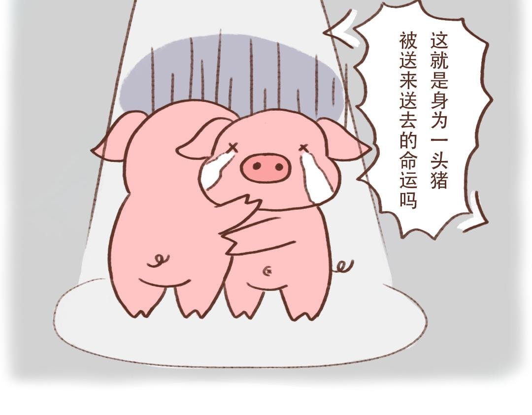东坡肉的诱惑