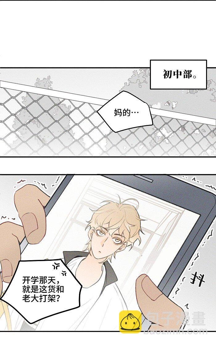 11 情书