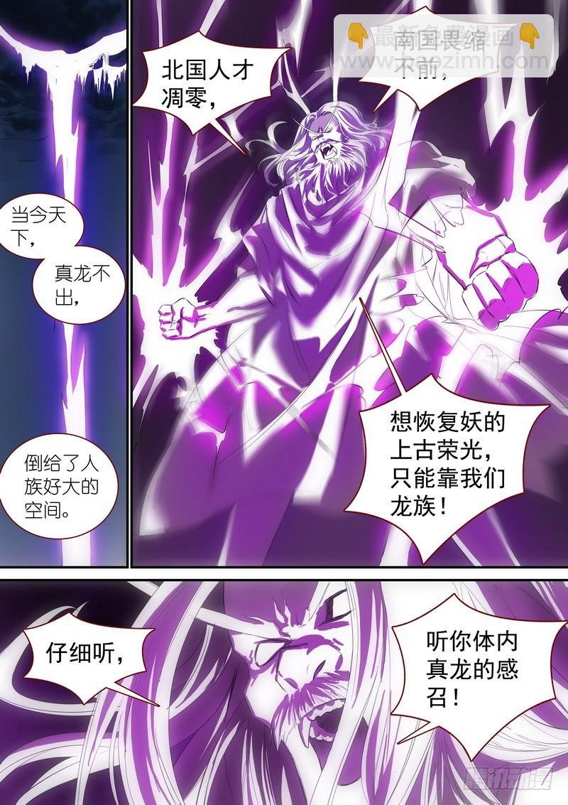 总342·真龙感召