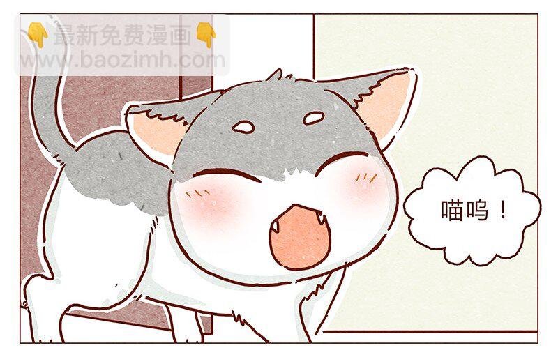 116话 区区人类竟敢威胁喵！！