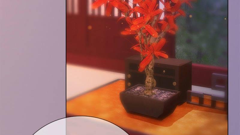 第12话：深夜暗杀