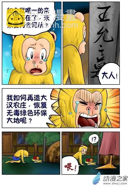 第33回