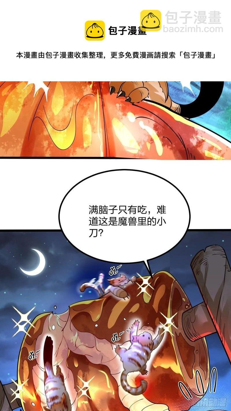 66、美女不够，萌宠来凑