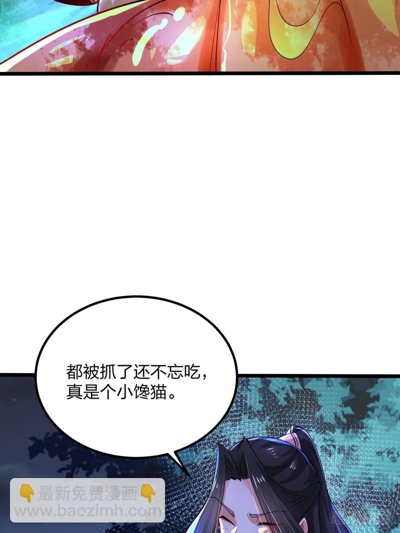 66、美女不够，萌宠来凑