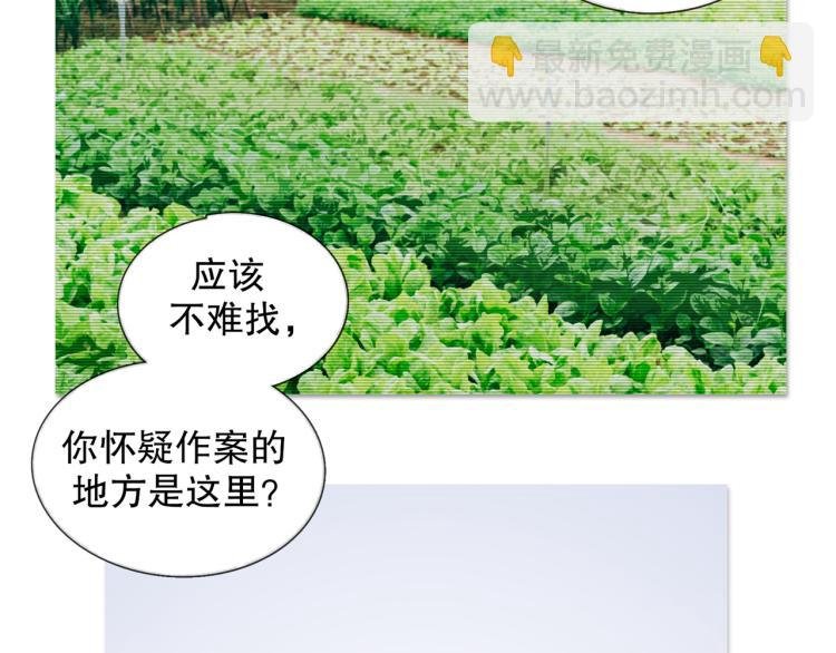 第29话 理解