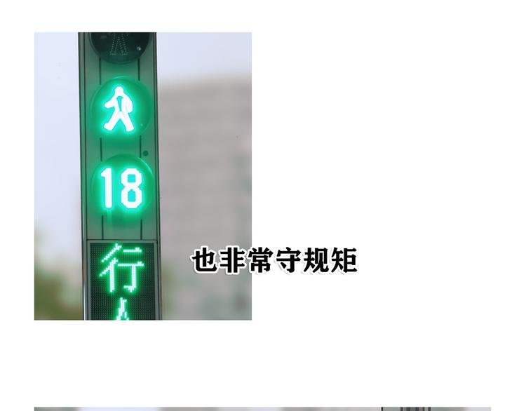 第4话 跟踪