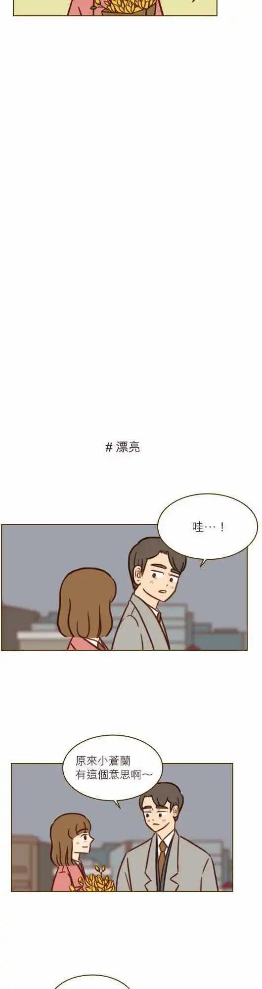 第43话 - 小仓兰
