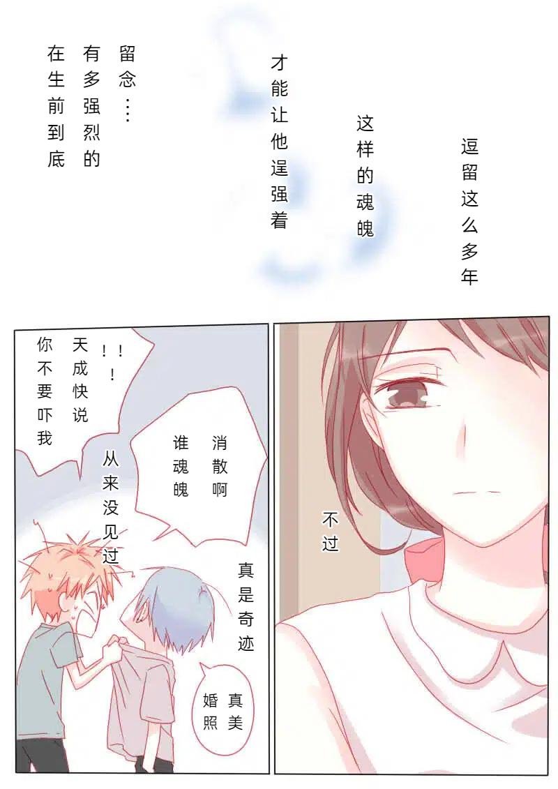 捌拾