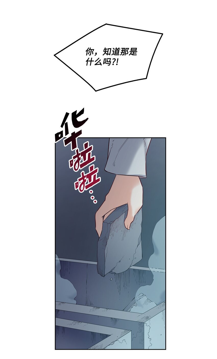 10 石棺中的翅膀