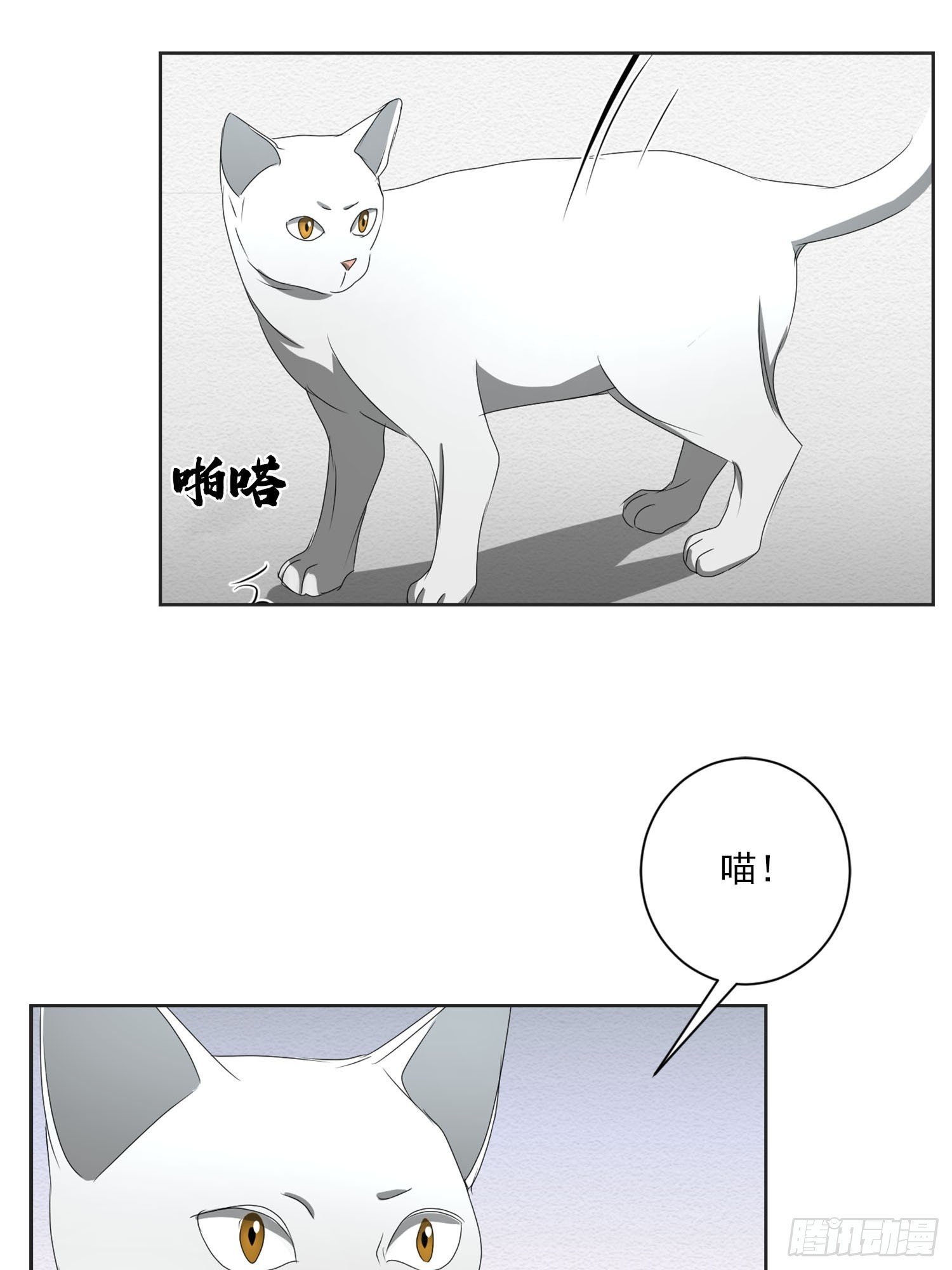 第41话 原谅