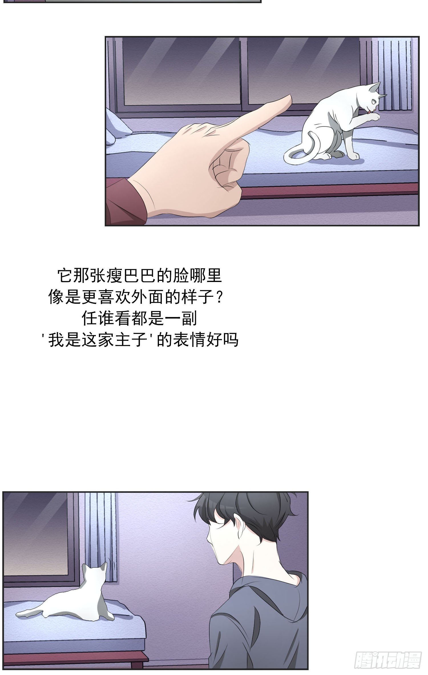 第41话 原谅