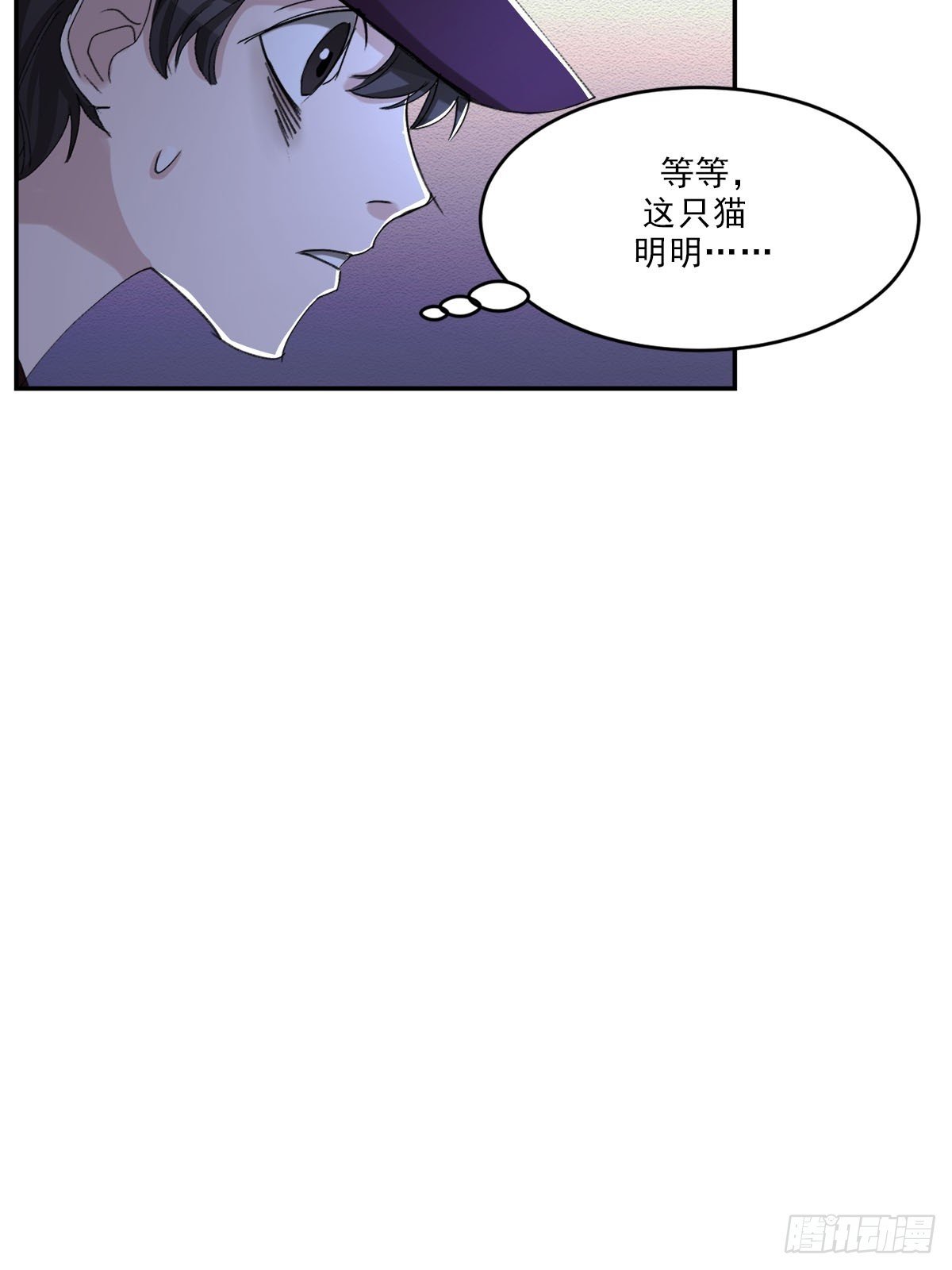 神秘的访客