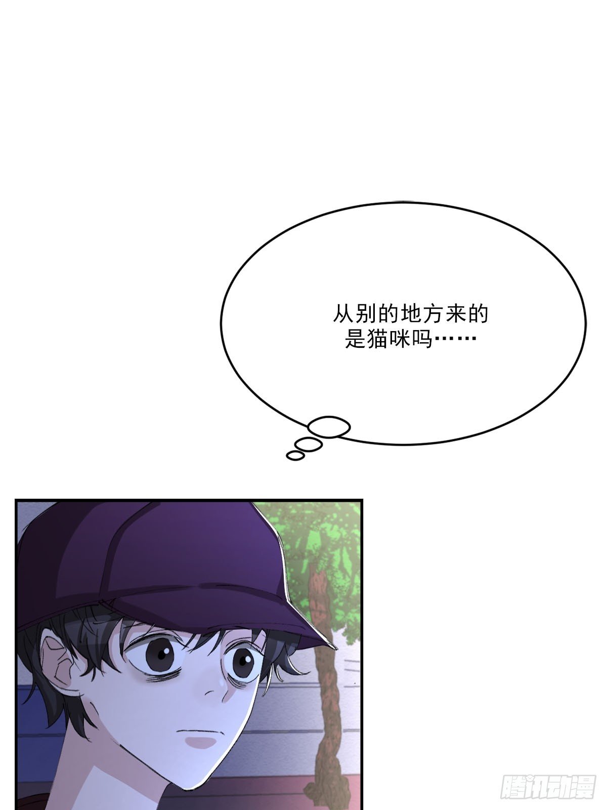 神秘的访客