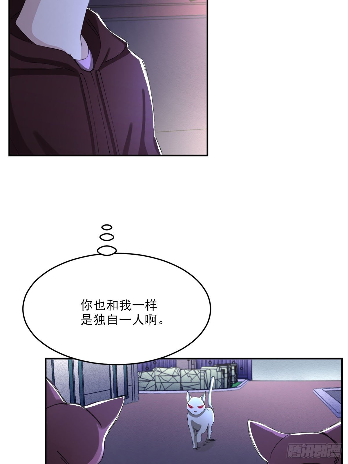 神秘的访客