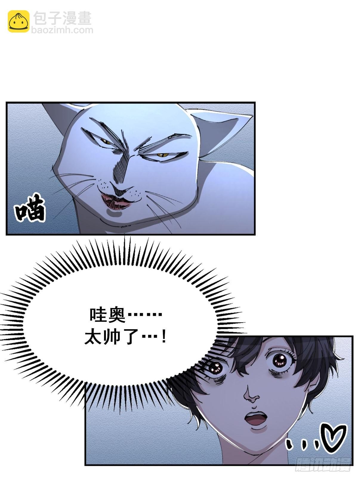 神秘的访客
