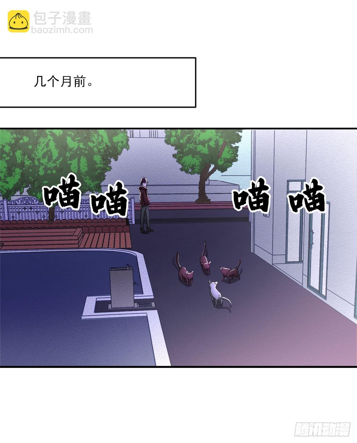 相片
