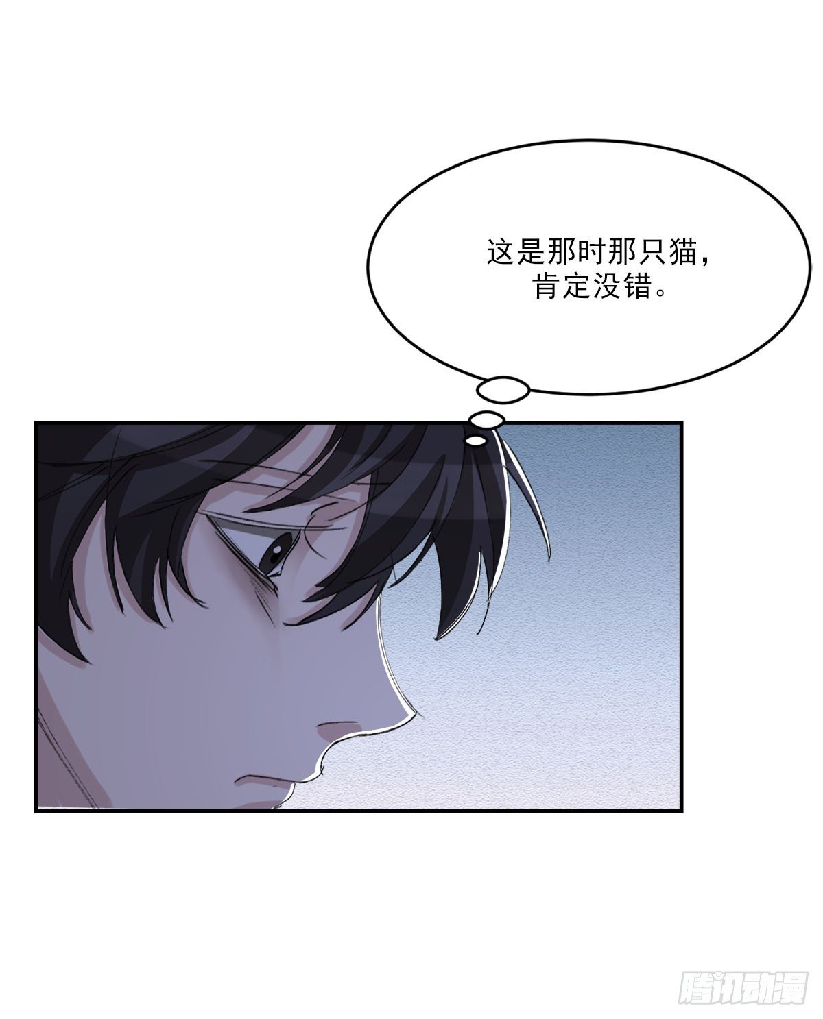 相片