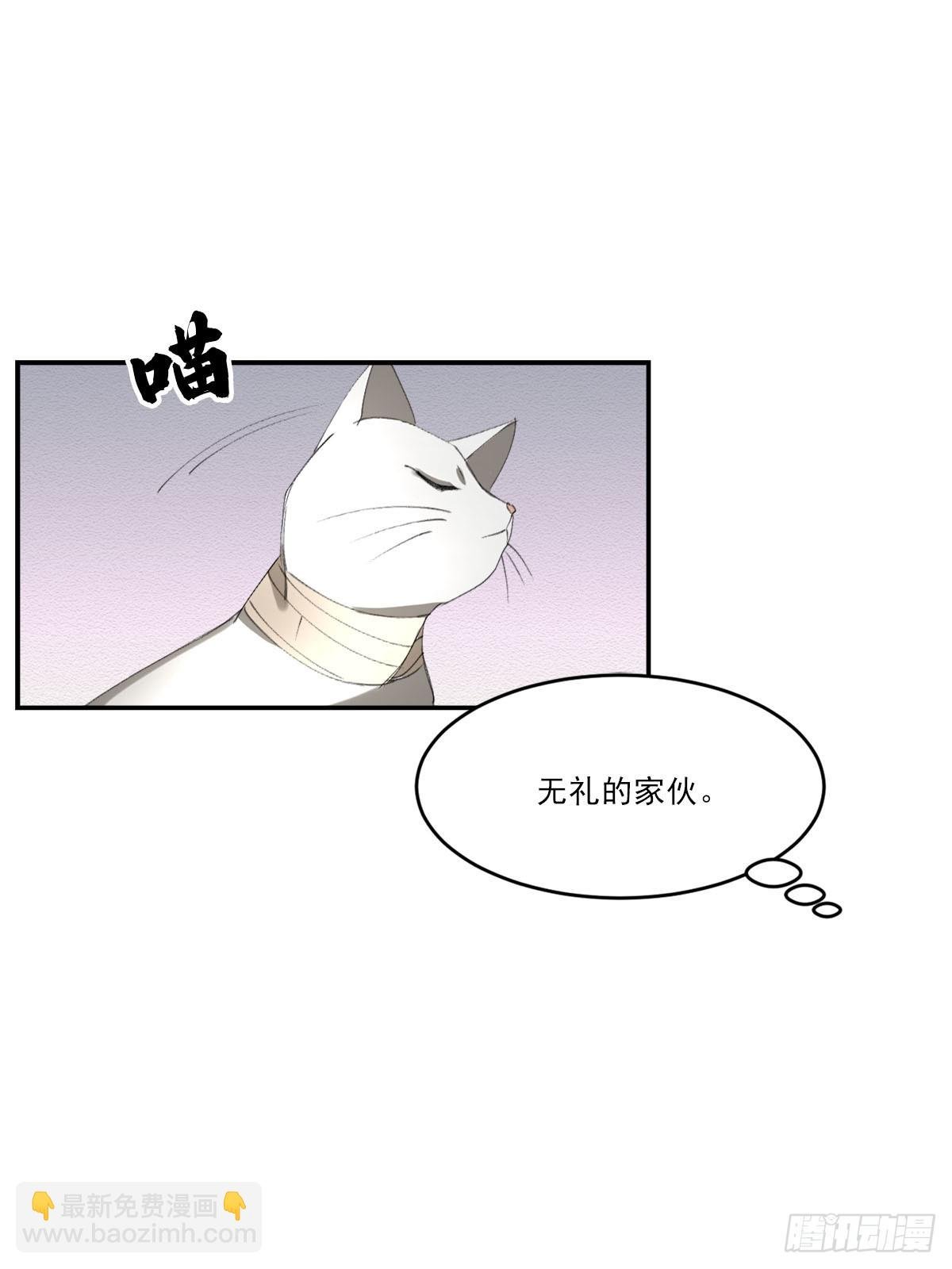调查
