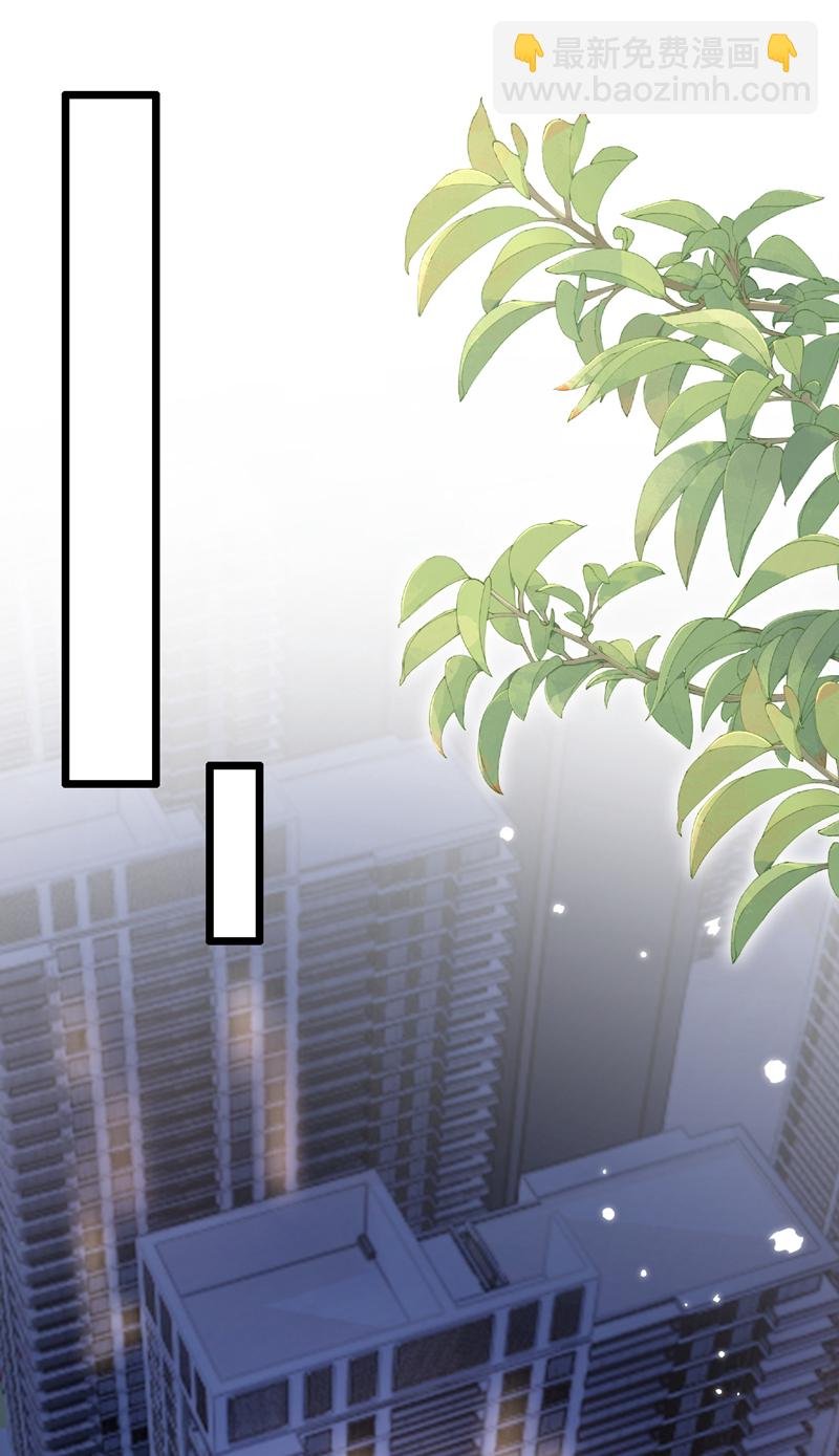 第200话 你不用担心钱的事