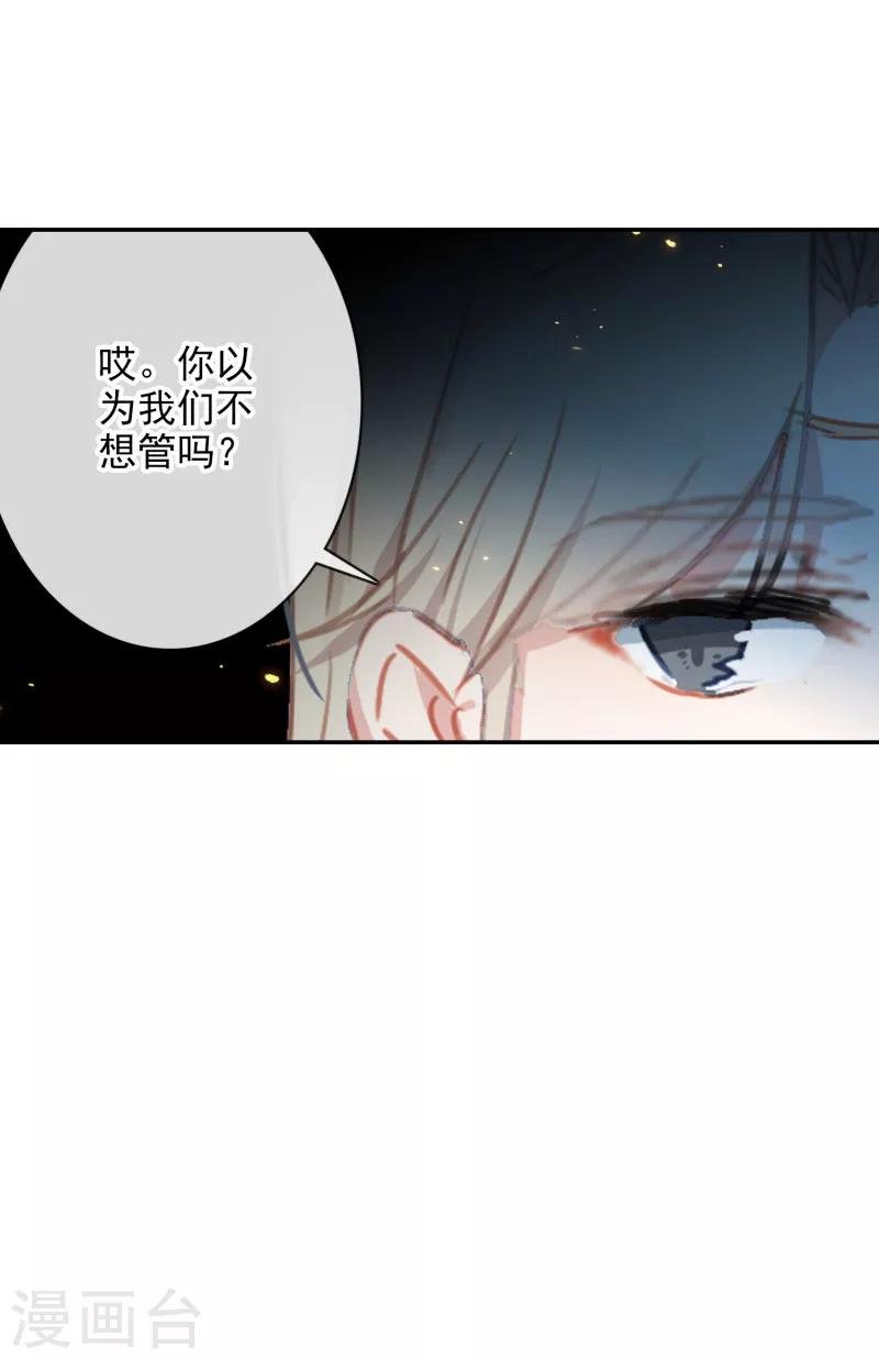 第24话 神秘的桃花岛故人