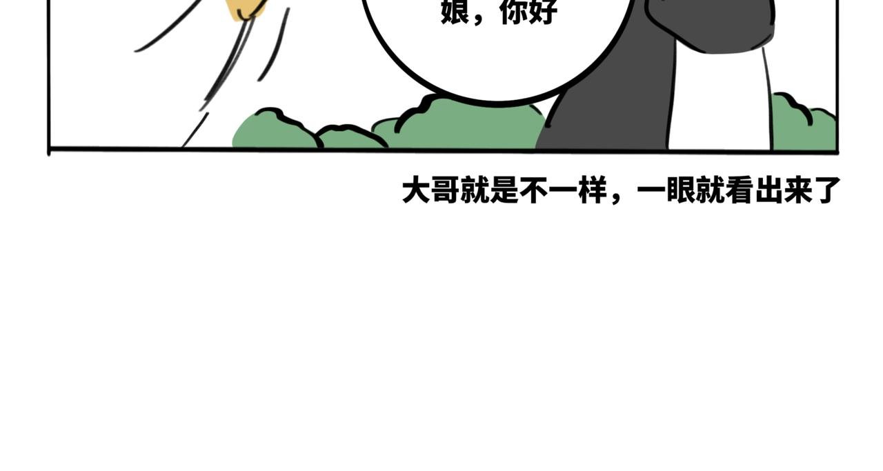 33.青泽（2）