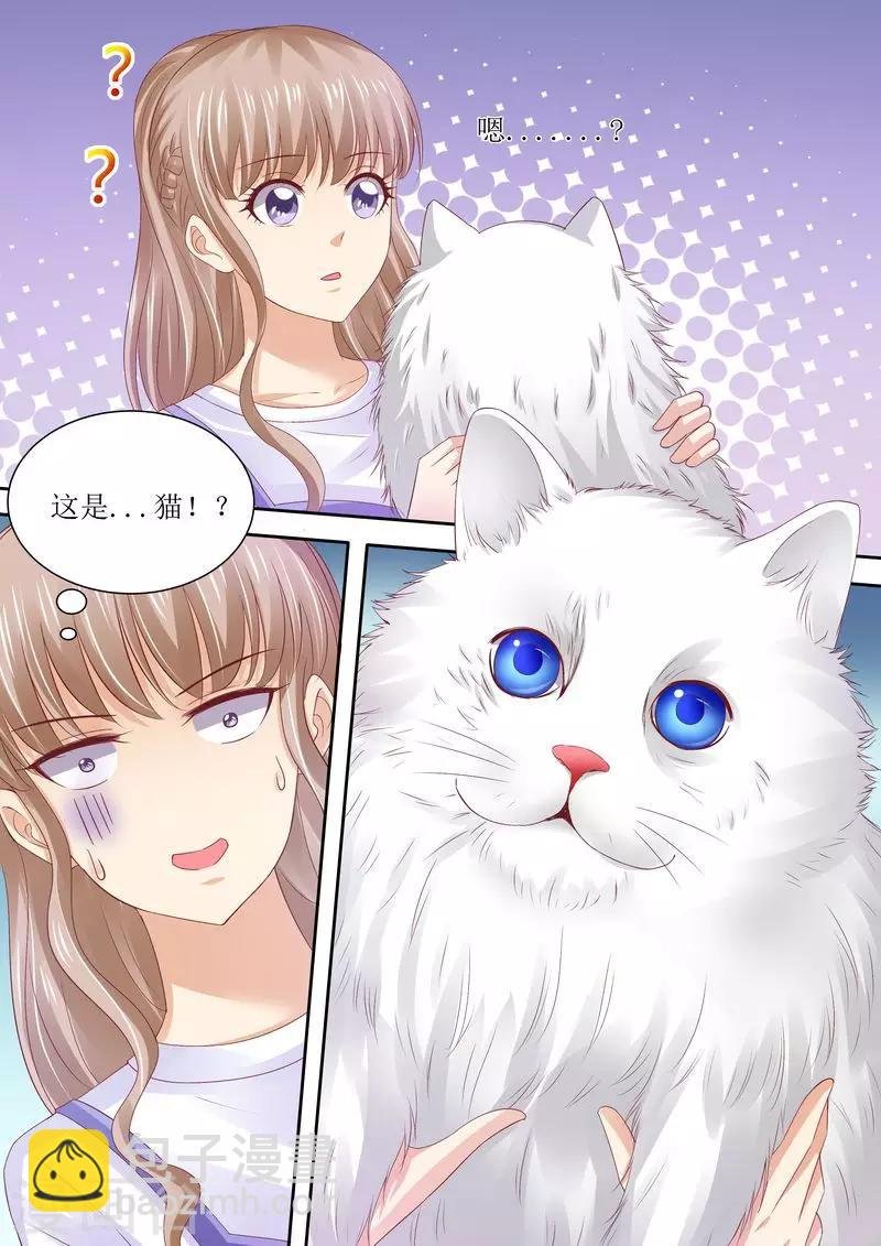 第72话 没有爱的婚姻