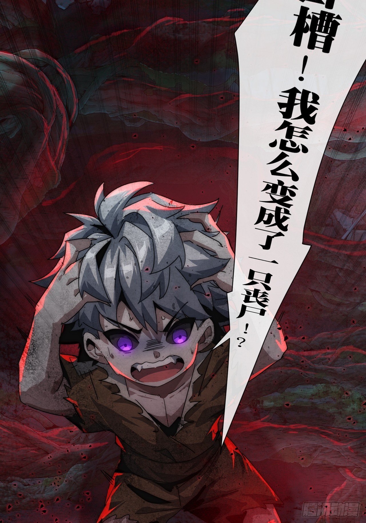 预告