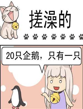 wuliandianfeng-pikapi